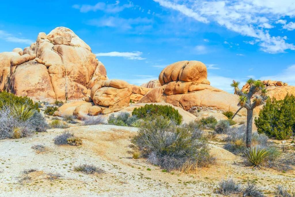 Butterfly House: A Tranquil Haven In Joshua Tree Villa Exterior photo